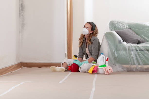 Reliable Mold Remediation contractor in Saratoga, NC by Cheap Mold Removal